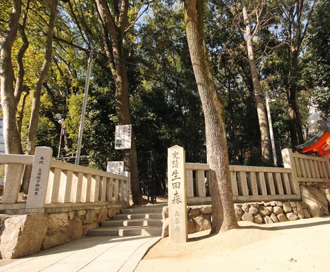 生田神社c