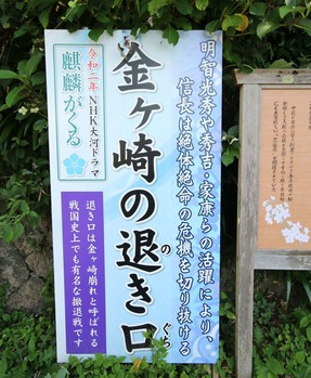 金崎宮d