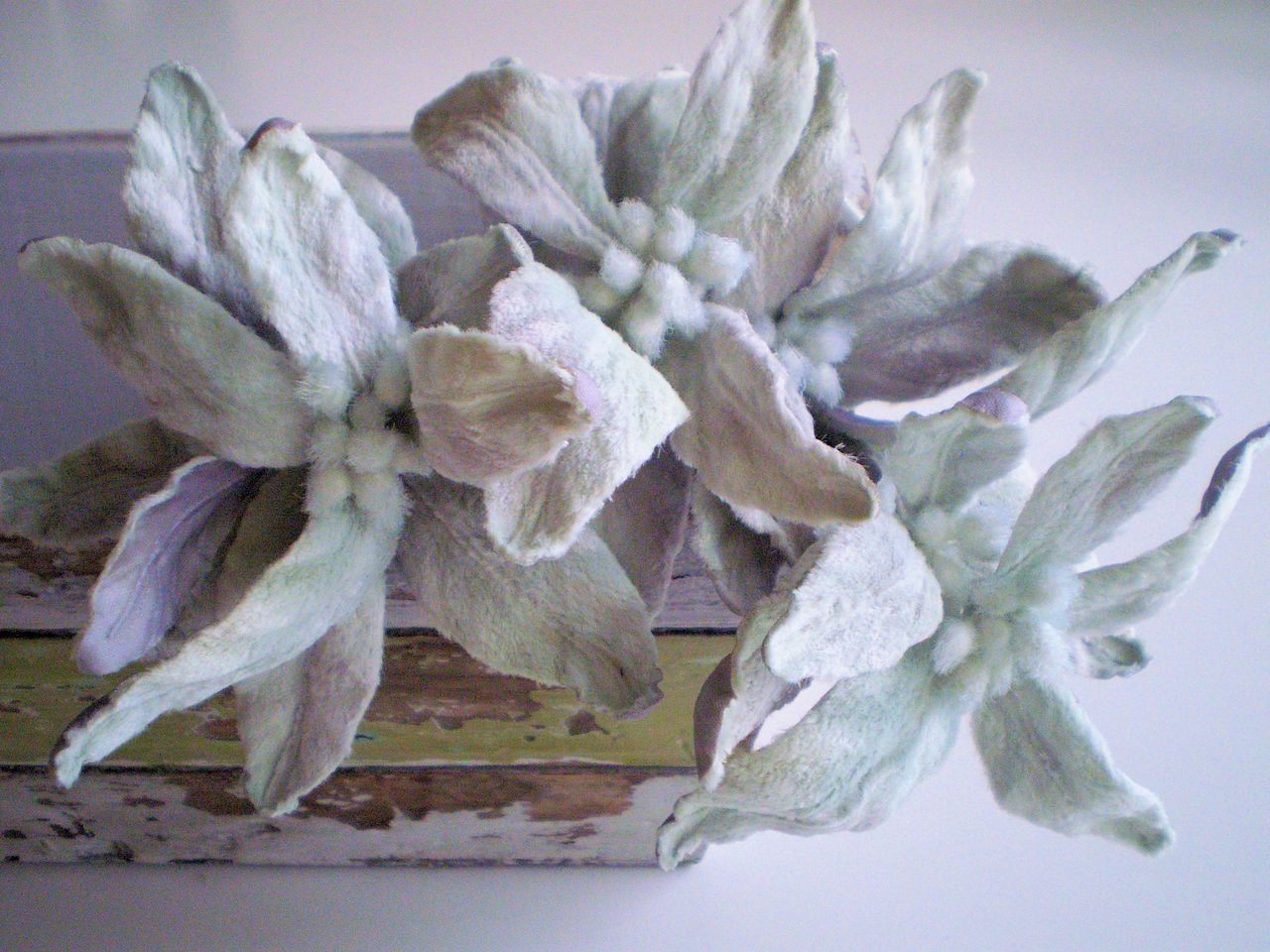 ラムズイヤー 布で作る花日記 ラムズイヤー 布で作る花日記