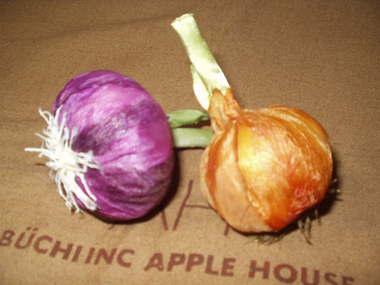 玉ねぎ 布で作る花日記