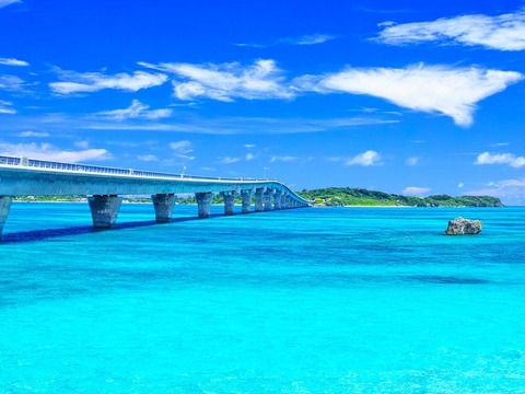 sd_okinawa_earlybird