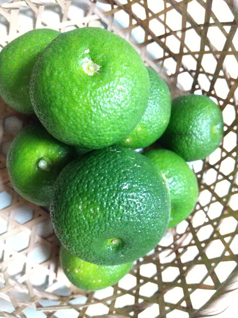 すだちorかぼす とれたて日記