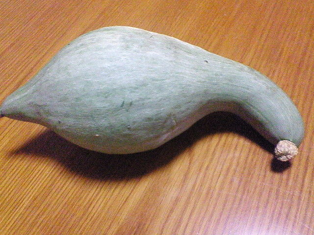 南部一郎かぼちゃ とれたて日記