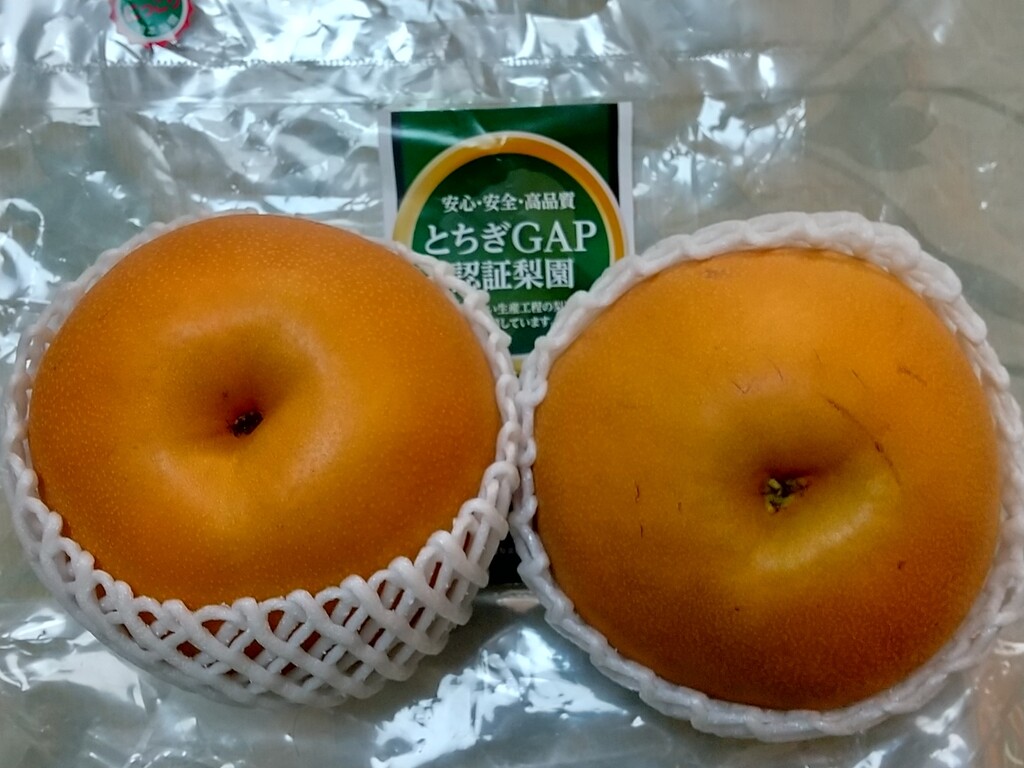 とれたて日記:「かおり」 梨