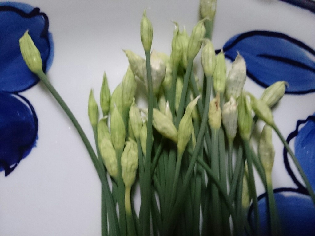 旬を食べる とれたて日記