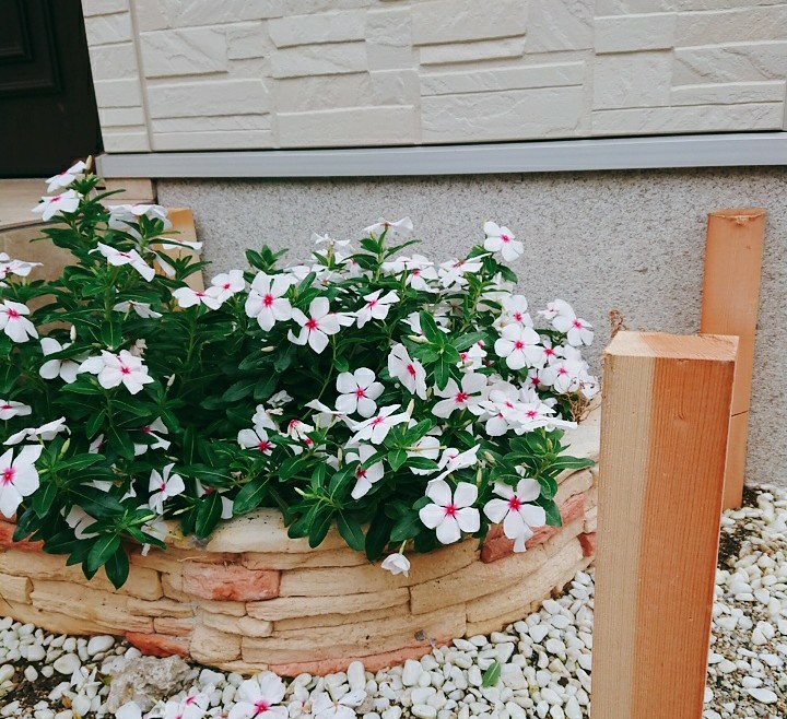 Fotor_157079433544371