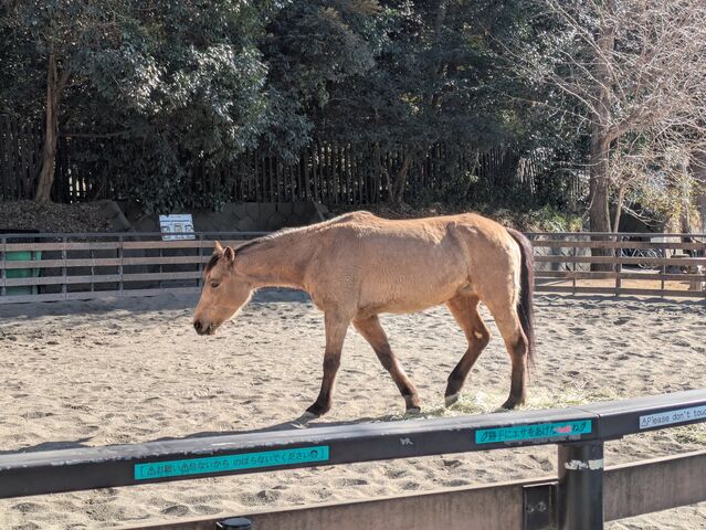 PXL_20260131_041635523