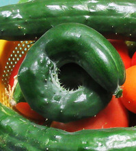 �ޤ륭�塼��ȥޥȾ�