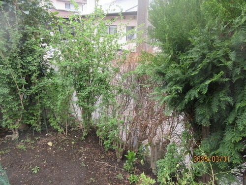 IMG_4865����������