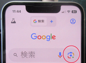 Google���������ִ��դ�