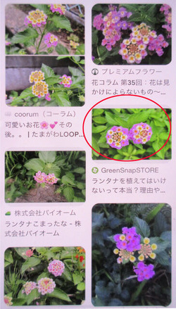 ������̿��ִ��դ�