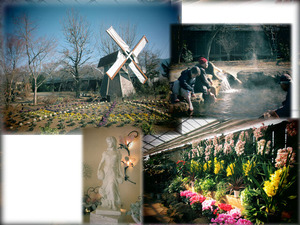 IMG_3436��μ̿�