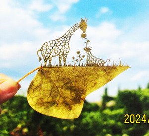 �������ڤ골