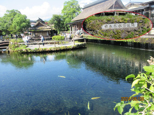 IMG_3965����̾��ɴ����