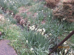 IMG_7868¿åÀçŬ -