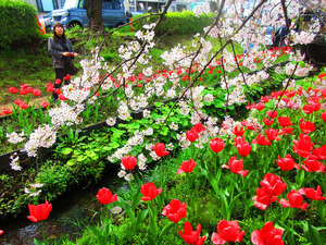 IMG_3707���ȥ��塼��å׶��齤����