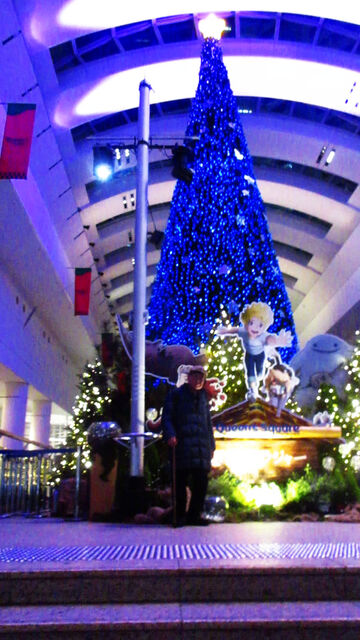 MVI_3365�ĥ꡼����ǰ��