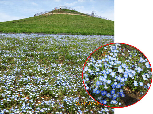 �����ٻθ��ࡢ�����ֱ�