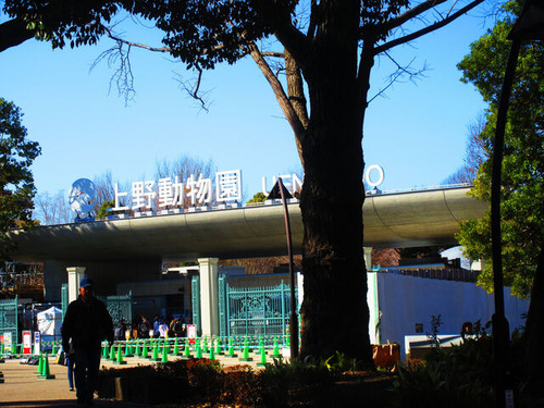 IMG_3492����ưʪ��