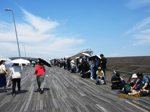 IMG_3919��Ҵ������Ԥ�