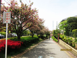 IMG_3728Ȭ�ź���ƻ