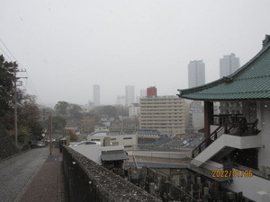IMG_7820¹Á̤Íè¤òÇÒ¤¹