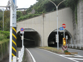 IMG_4517�����ȥ�ͥ�