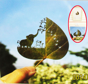 ���ڤ골��ñ����