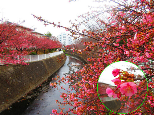 IMG_35567����