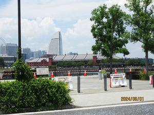 IMG_3918�֥���Ҹ�