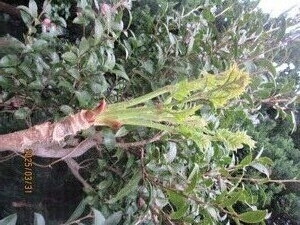 IMG_4858����βꡢ