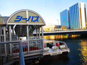 IMG_3602�����Х���