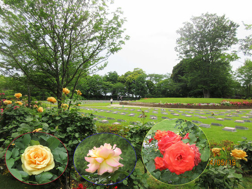 IMG_3829�������Х�β�