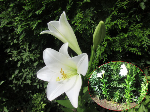 IMG_4051����