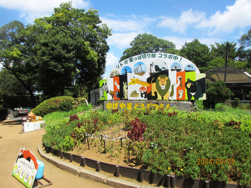 IMG_4254ưʪ���������ʴ�