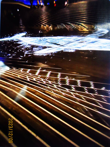 IMG_3232������Υץ������������ޥå��󥰣�Ŭ