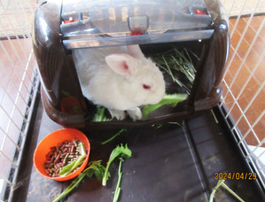 �業�����