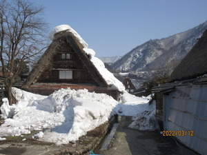 IMG_8092ÇòÀî¶¿¡¢ÀãÃæ²È²°ÀµÌÌ