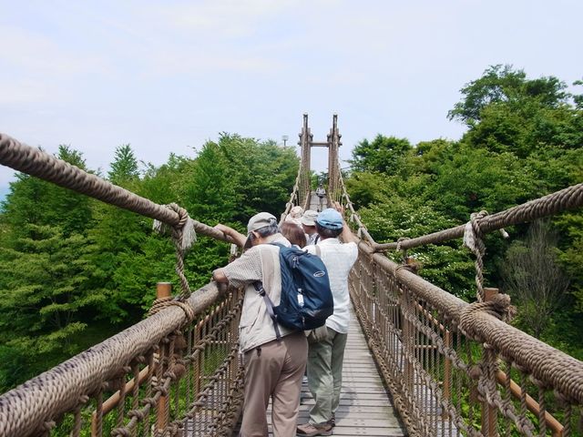辻村植物公園とわんぱくらんど ブログ 蝶の憑神 辻村植物公園とわんぱくらんど ブログ 蝶の憑神