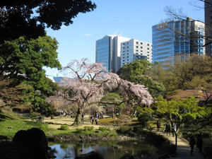 IMG_5843¾®ÀÐÀî¸å³Ú±à¥·¥À¥ìºù