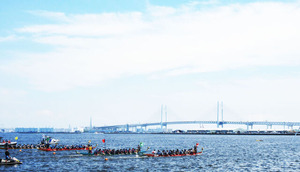 IMG-3901�ܡ��Ⱦ��,����