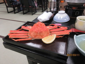 IMG_8076¥«¥Ë°ìË祢¥Ã¥×