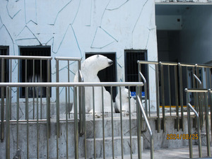 IMG_4259�������ޤ���Ŭ