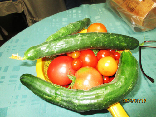 IMG_4081����ϡ�̵��