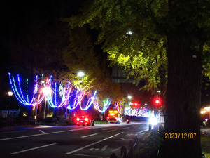 IMG_3230��������֥��Υ�ץ���ߥ͡��������Ŭ