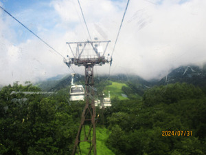 IMG_4142����ɥ��Ķ�����