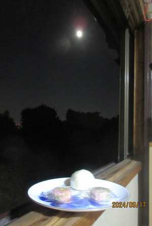 9-17�潩��̾��