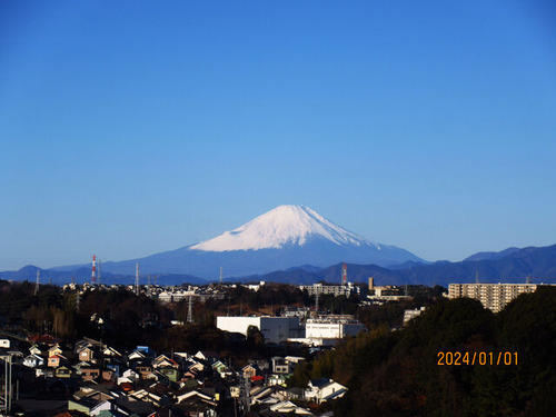 IMG_33872024�ٻΣ�