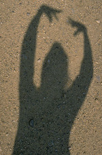 �ݤ���θ�����