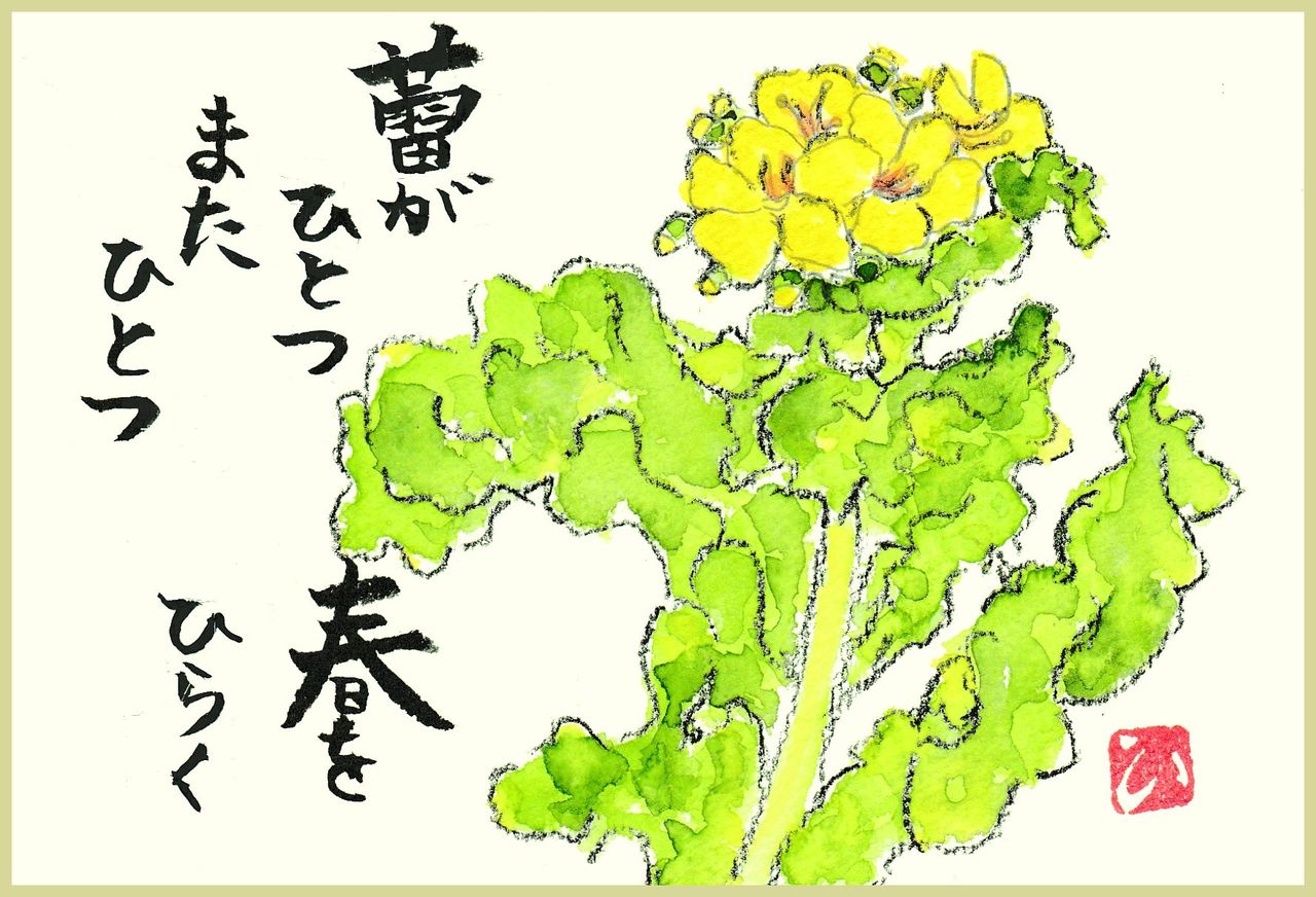 私の絵手紙 3月 Hirorinおばさん気任せ綴 私の絵手紙 3月 Hirorinおばさん気任せ綴